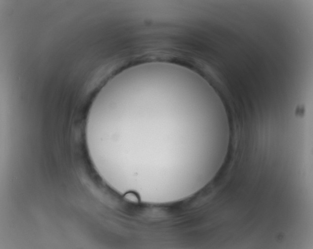 X0000114680451200910211035