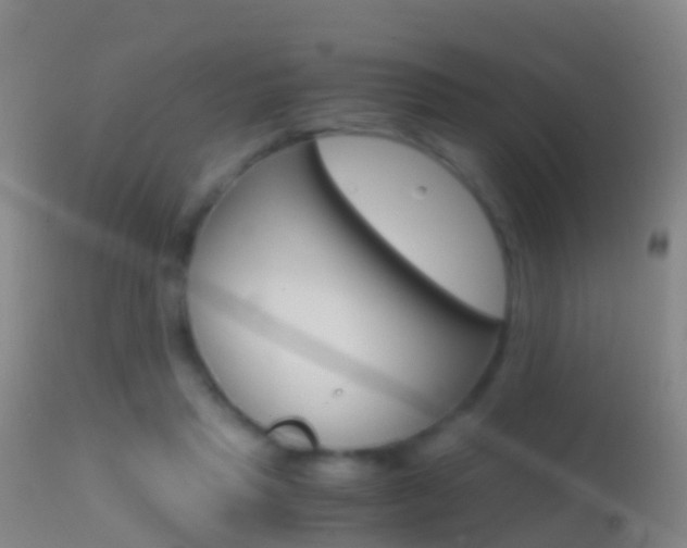 X0000114680453200910211035