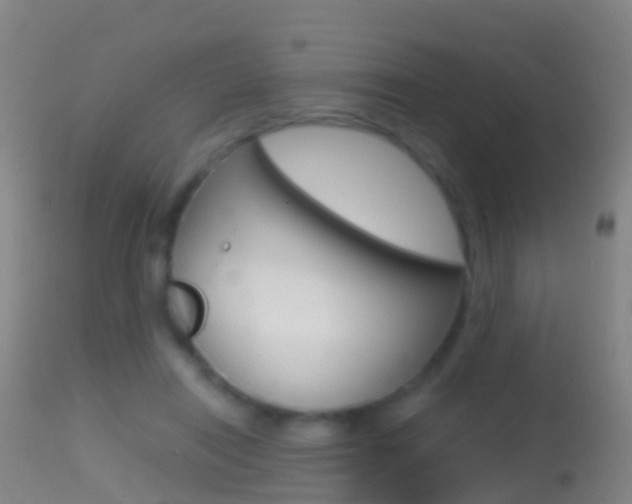 X0000114680454200910211035