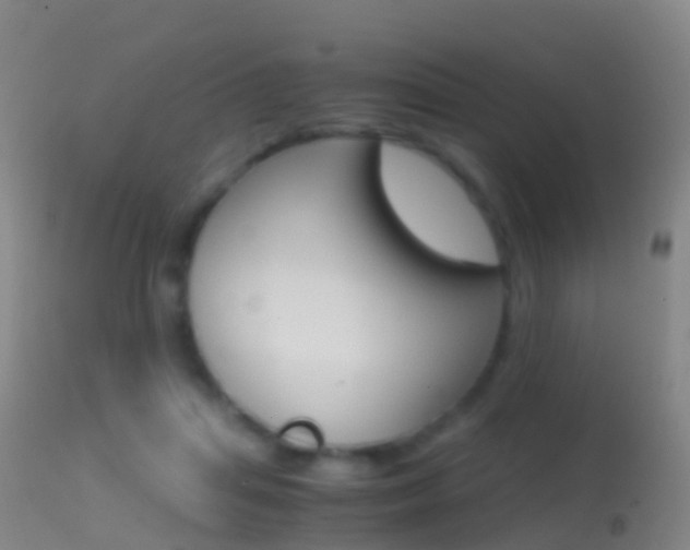 X0000114680455200910211035