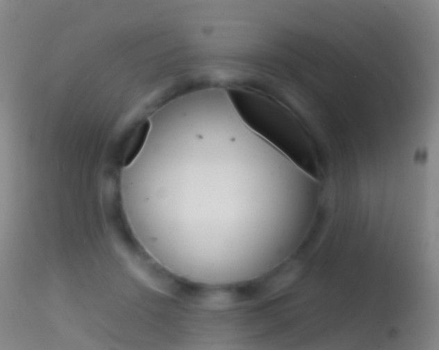 X0000114680456200910211035