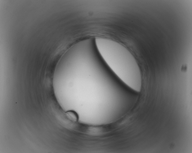 X0000114680457200910211035