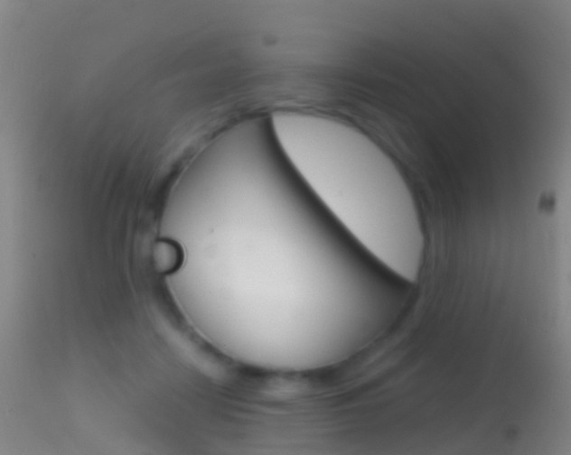 X0000114680458200910211035
