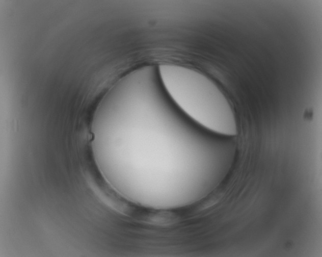 X0000114680459200910211035