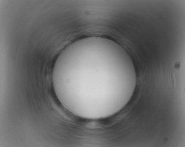 X0000114680460200910211035