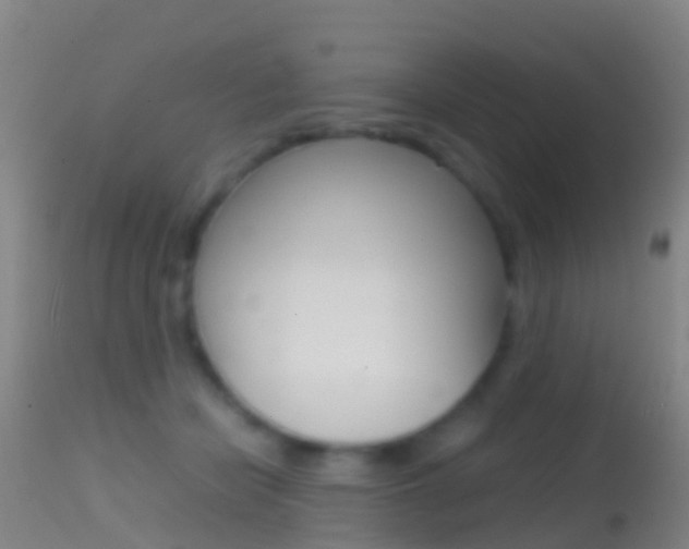 X0000114680462200910211035