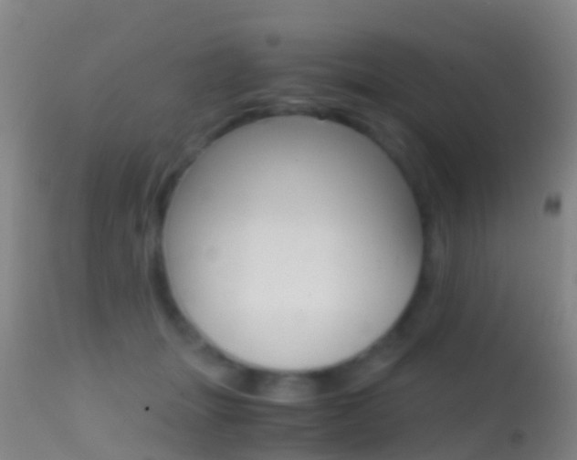 X0000114680463200910211035