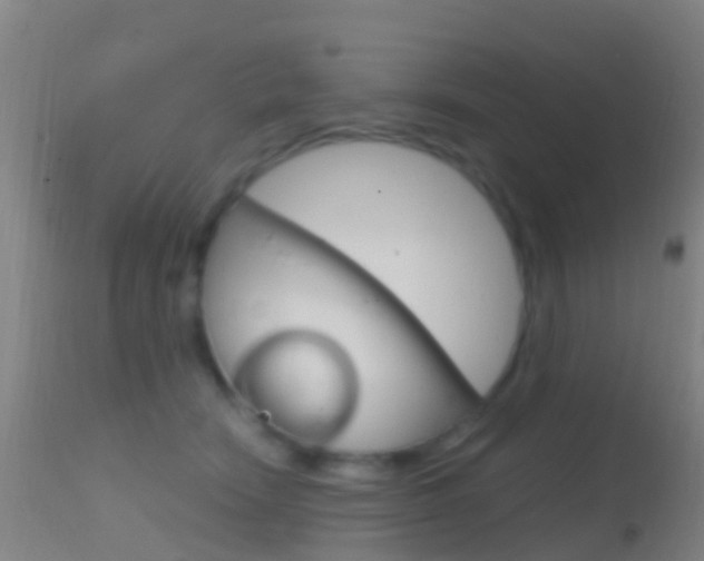X0000114680466200910211035