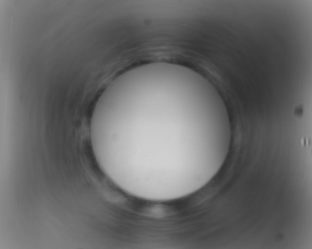 X0000114680467200910211035