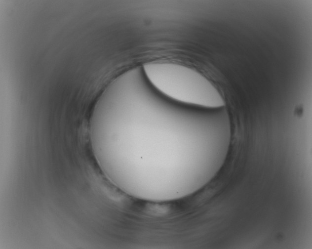 X0000114680469200910211035