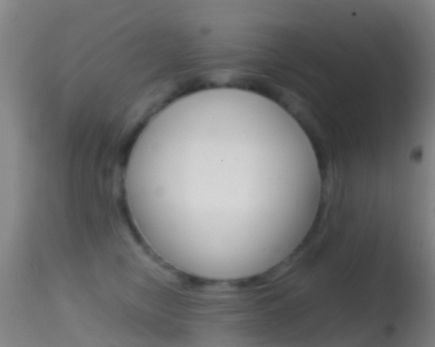 X0000114680470200910211035