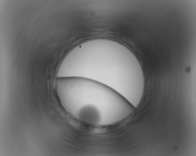 X0000114680471200910211035