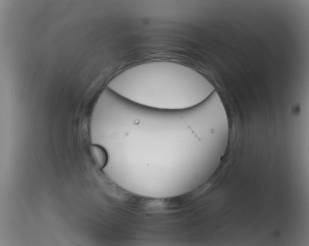 X0000114680473200910211036
