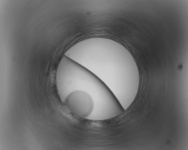 X0000114680475200910211036
