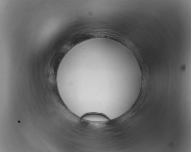 X0000114680477200910211036