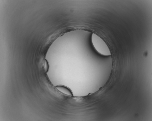 X0000114680478200910211036
