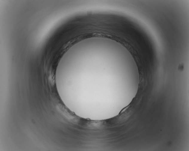 X0000114680479200910211036
