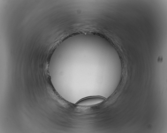 X0000114680480200910211036