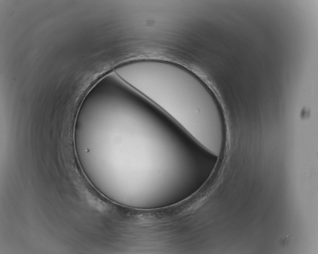 X0000114680481200910211035