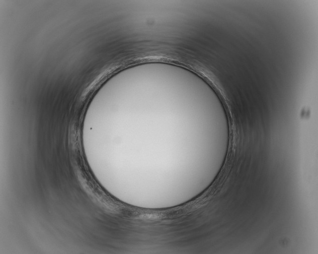 X0000114680482200910211035