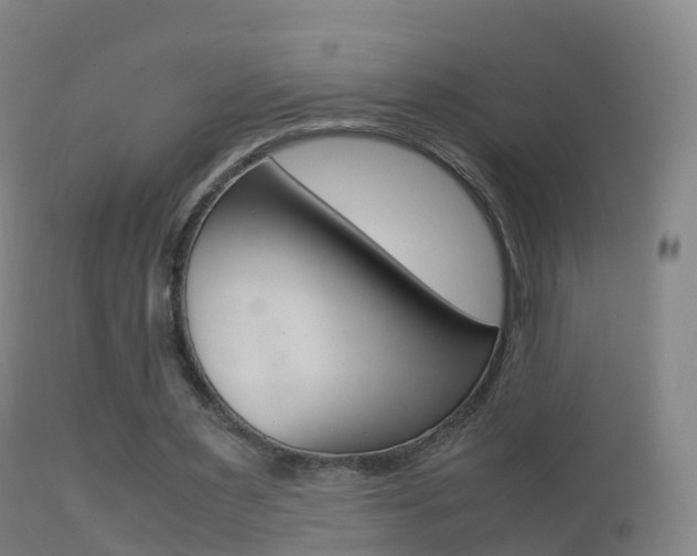 X0000114680483200910211035