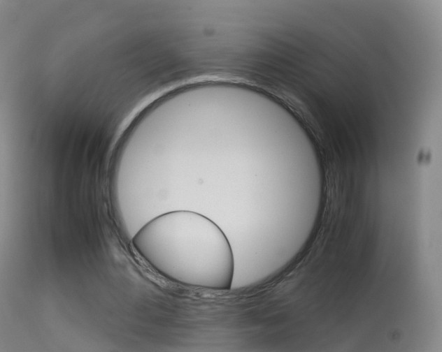 X0000114680484200910211035