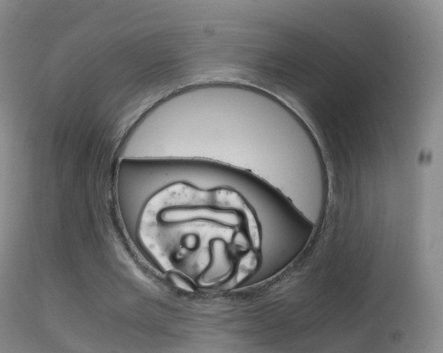 X0000114680485200910211035
