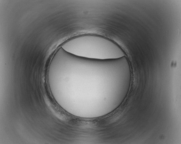 X0000114680486200910211035