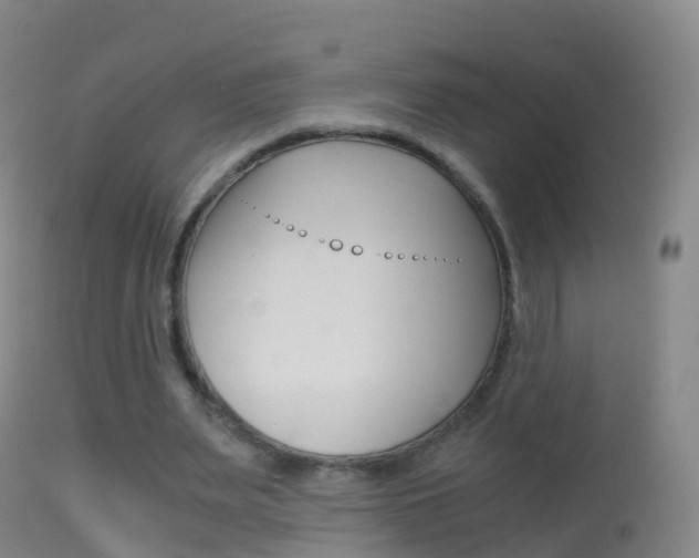 X0000114680487200910211035
