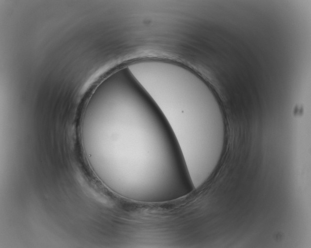 X0000114680488200910211035