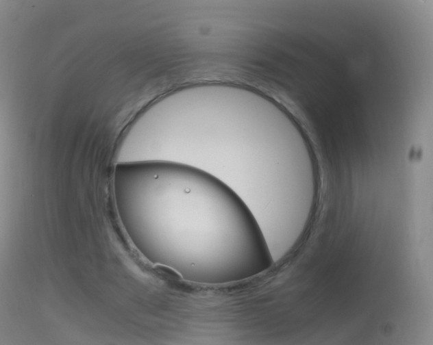 X0000114680489200910211035