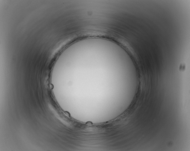 X0000114680490200910211035