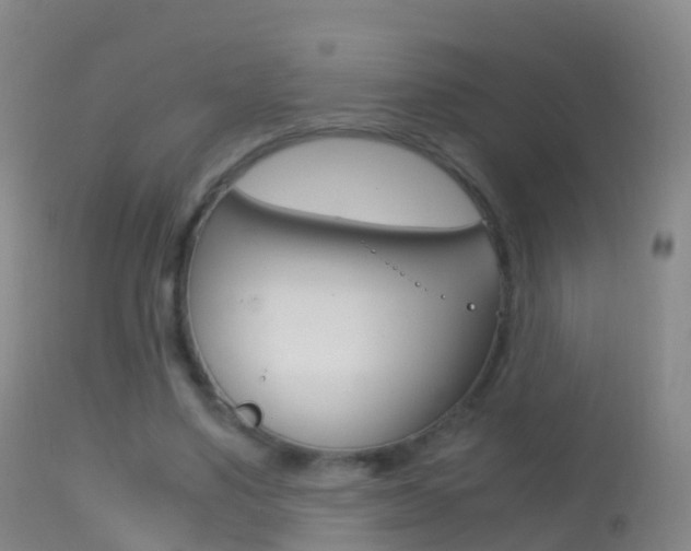 X0000114680491200910211035