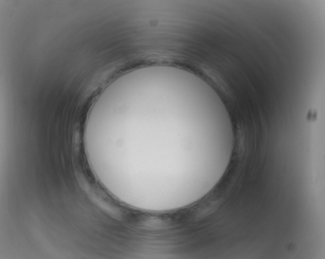 X0000114680494200910211035
