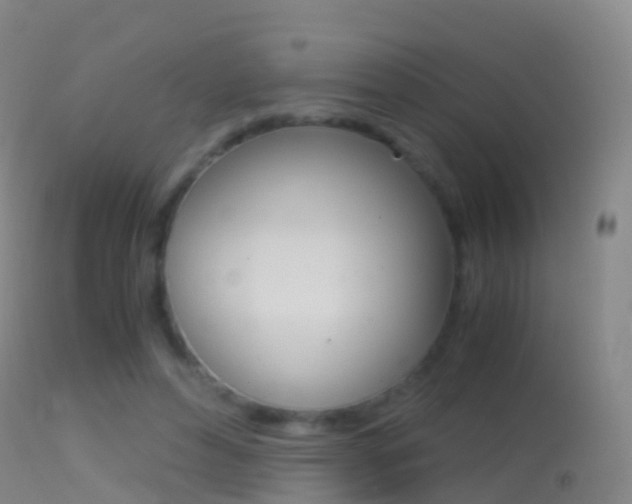 X0000114680496200910211035