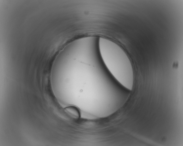 X0000114680499200910211035