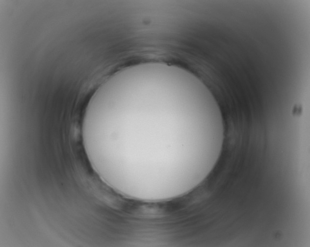 X0000114680502200910211034
