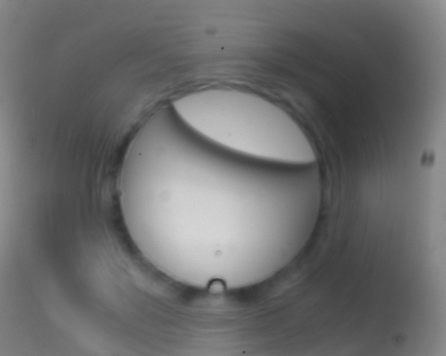 X0000114680503200910211034
