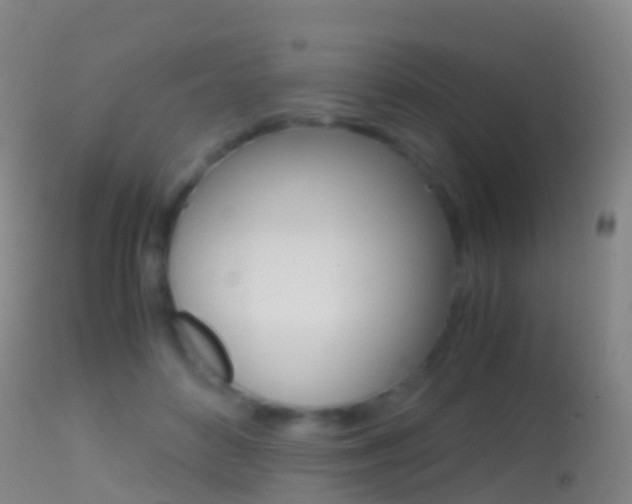 X0000114680504200910211034