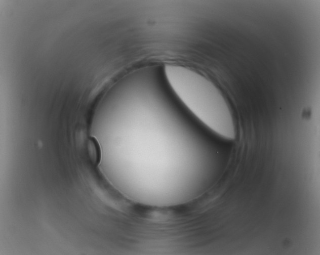 X0000114680508200910211034
