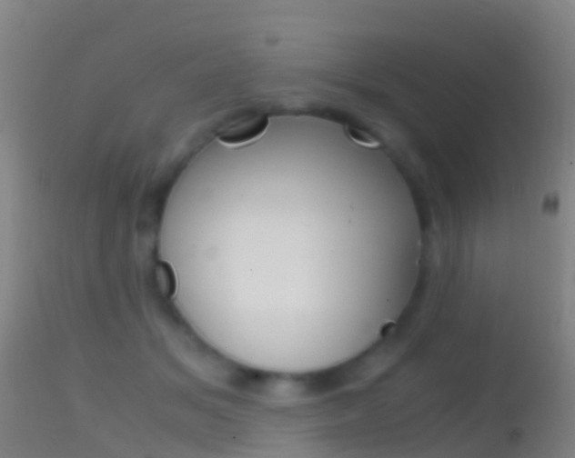 X0000114680509200910211034