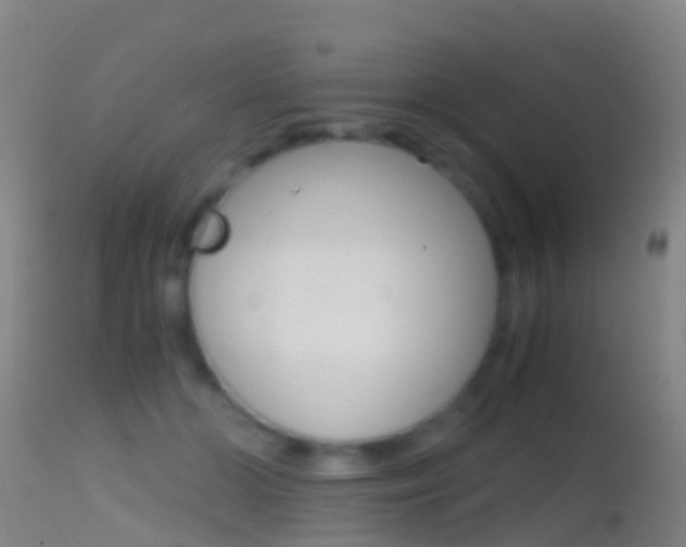 X0000114680510200910211034