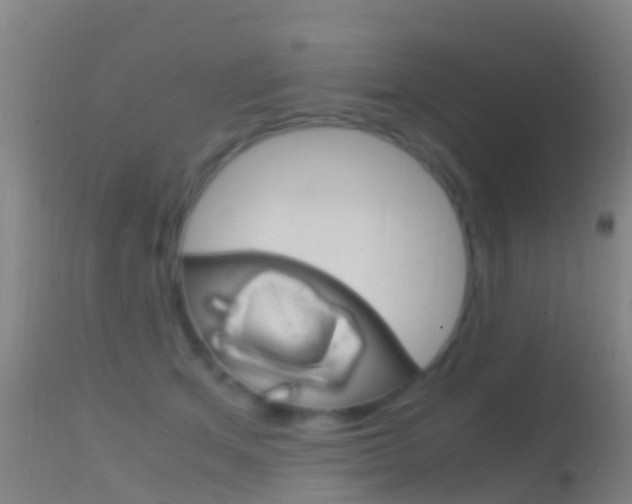 X0000114680513200910211034