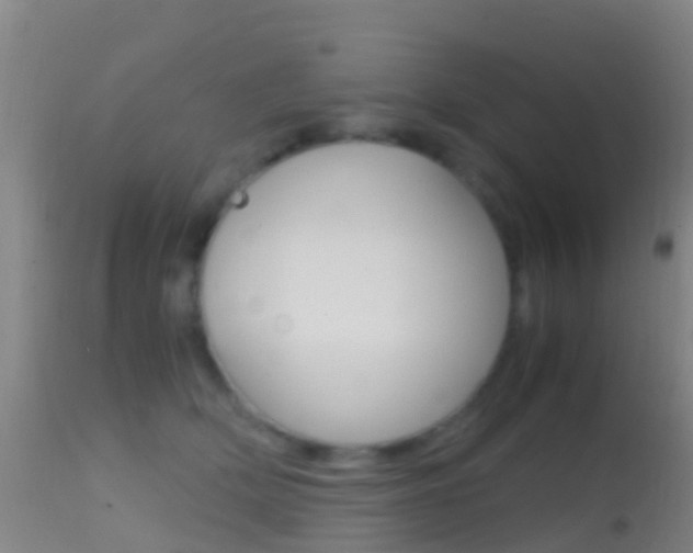 X0000114680514200910211034