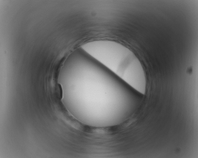 X0000114680516200910211034
