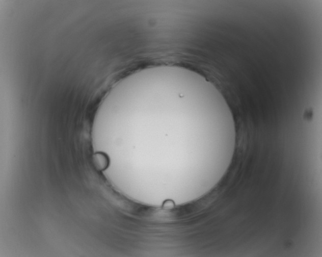 X0000114680518200910211034