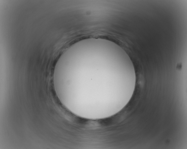 X0000114680519200910211034