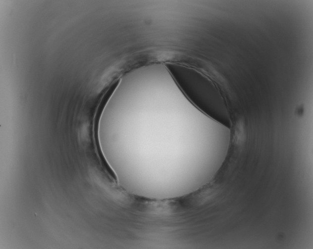 X0000114680524200910211034