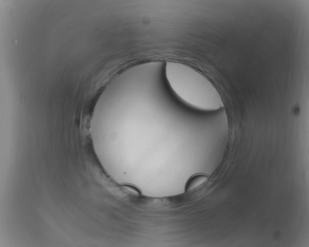 X0000114680525200910211034