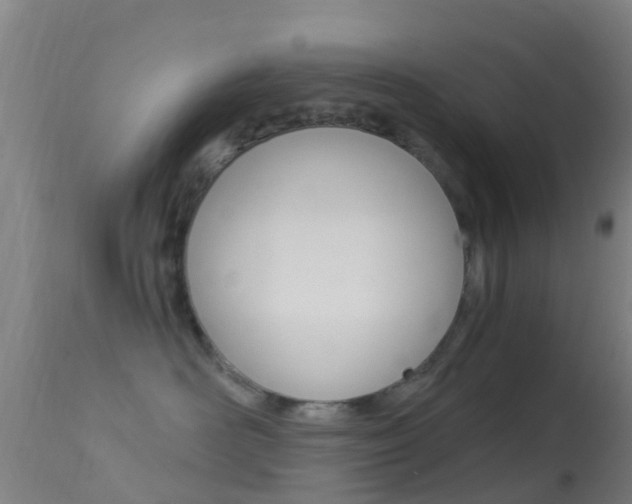 X0000114680526200910211034